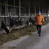 De Ronde Venen Hafkamp Groenewegen marathon 202230115